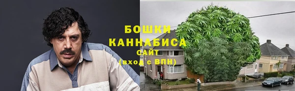 spice Гусь-Хрустальный