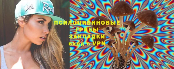 трава Горно-Алтайск