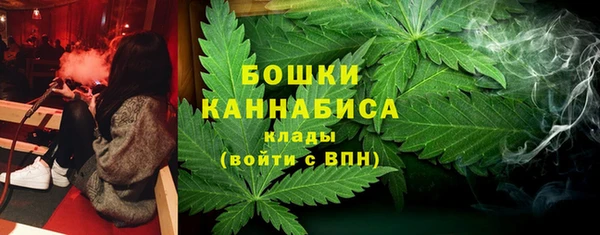 spice Гусь-Хрустальный