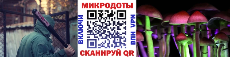 Купить  Краснослободск  Псилоцибиновые грибы Cubensis 